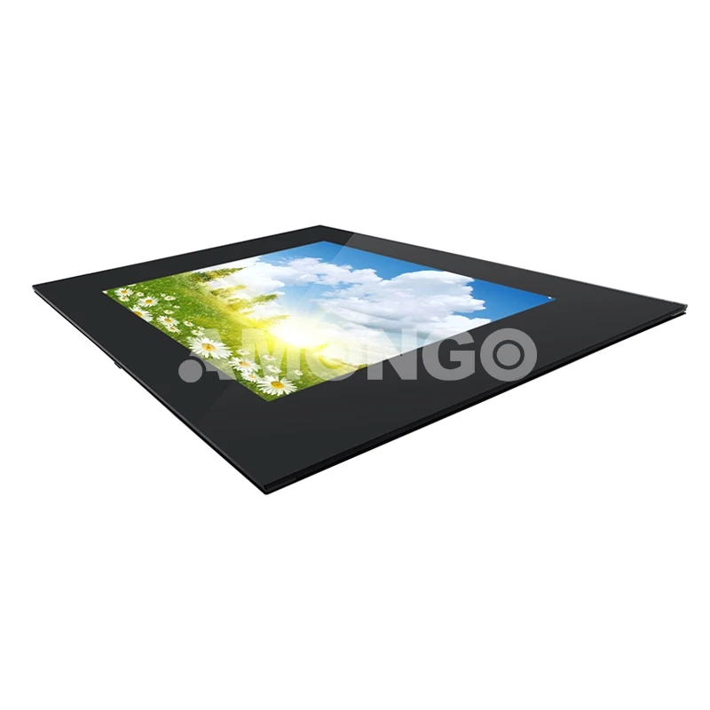 moniteur LCD à haute luminosité