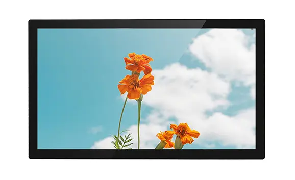 Moniteur LCD haute luminosité de 21.5 pouces